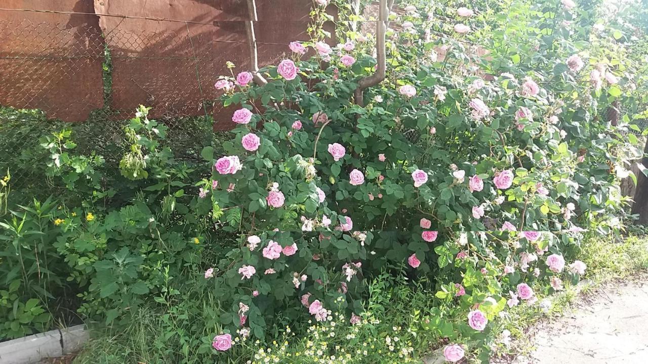 Dacha V Arkadii Otel Odessa Dış mekan fotoğraf