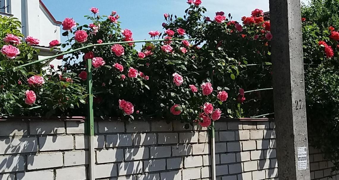Dacha V Arkadii Otel Odessa Dış mekan fotoğraf